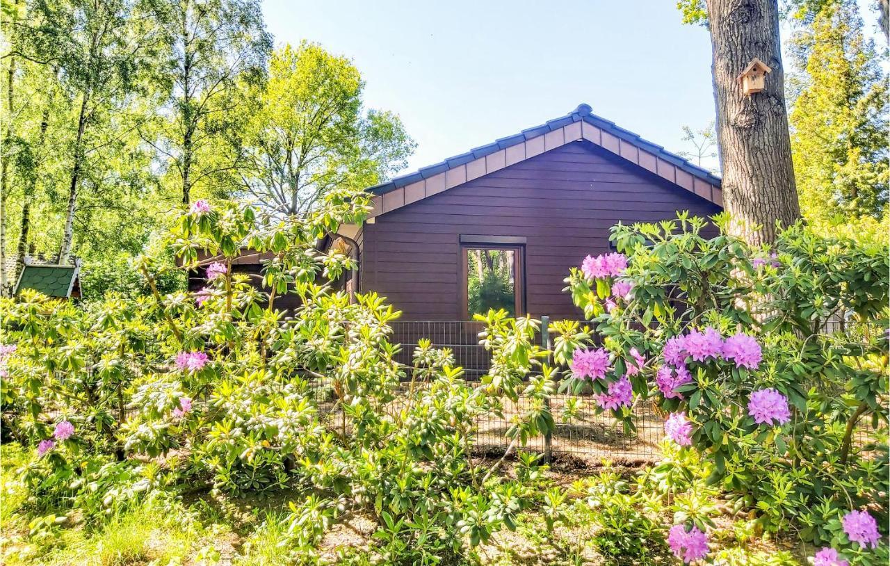 Pet Friendly Home In Haren With Sauna Dankern Buitenkant foto